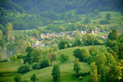 Scenic view of trees and houses on green landscape