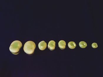 Close-up view of green object over black background