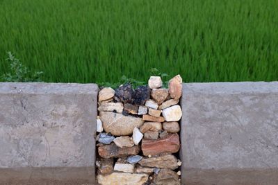 Stone wall in grass