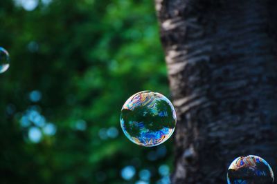 Close-up of bubbles in park