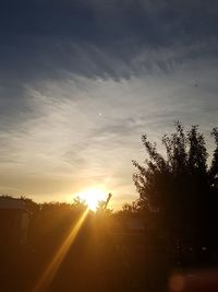 Silhouette trees against sky during sunset