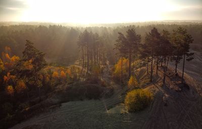 Scenic view of forest against sky during autumn