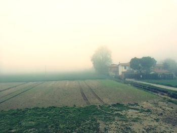 Scenic view of field against sky