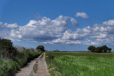 Scenic view of land against sky