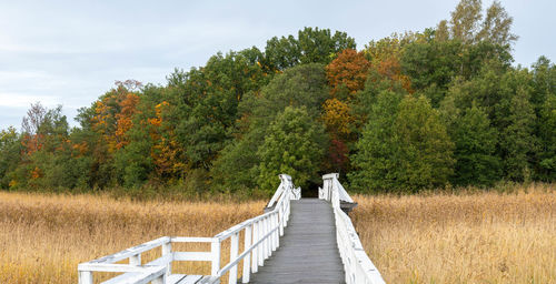 Panoramic view of trees on field against sky