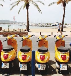 Tourists on beach