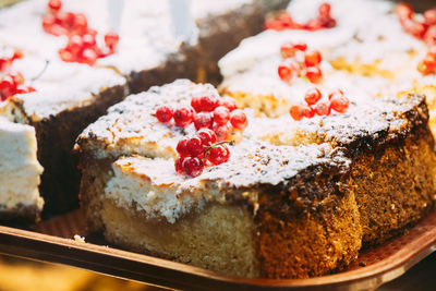 Close-up of cake in plate