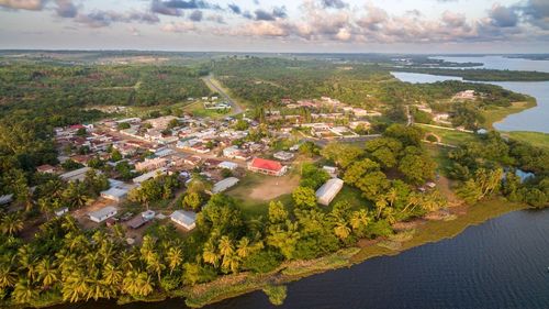 Aerial view of buildings and trees