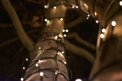 Low angle view of illuminated lights hanging from ceiling