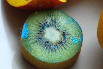Close-up of food