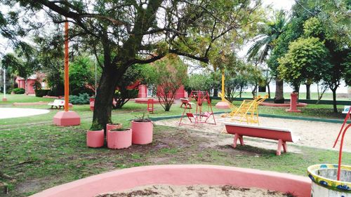 Trees in park against sky