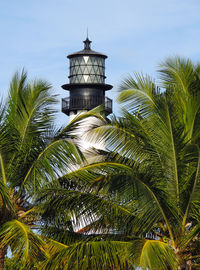 Low angle view of palm tree against sky