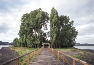 Footbridge amidst trees against sky