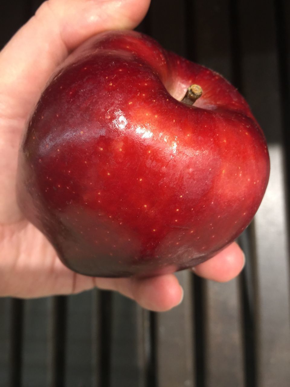 CLOSE-UP OF PERSON HAND HOLDING APPLE