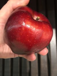 Close-up of hand holding apple