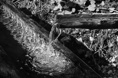 Close-up high angle view of water