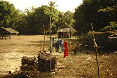 Clothes hanging on tree against sky