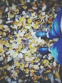 Low section of man standing on autumn leaves