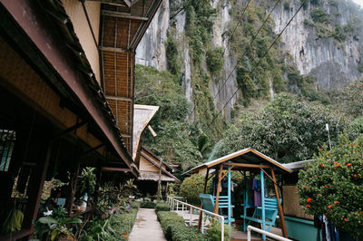 Houses amidst trees and buildings