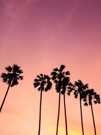 Silhouette palm trees against sky at sunset