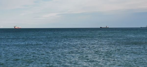 Sailboat sailing on sea against sky