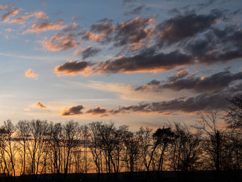 Silhouette bare trees against sky during sunset