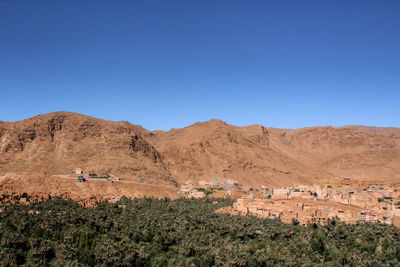 View of a valley of palms with mountains in the desert with blue sky