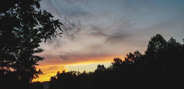 Low angle view of silhouette trees against sky during sunset