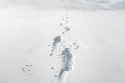 High angle view of footprints on snow