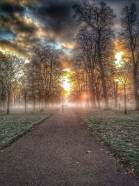 Road passing through forest