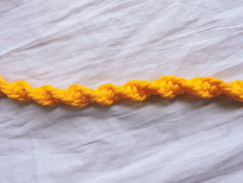 Close-up of yellow flower on bed