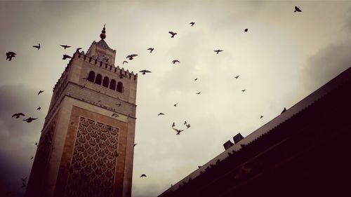 Low angle view of birds flying against sky