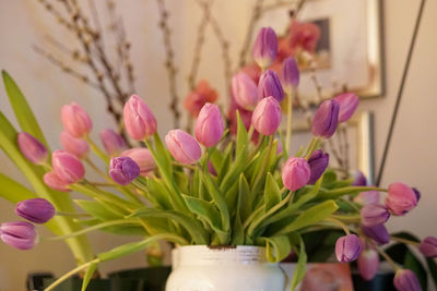 Close-up of pink tulip flowers in vase