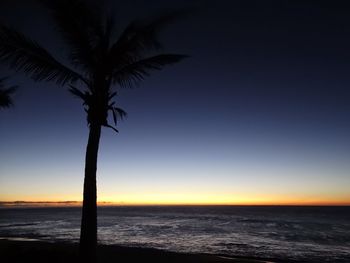 Silhouette palm tree on beach against clear sky at sunset