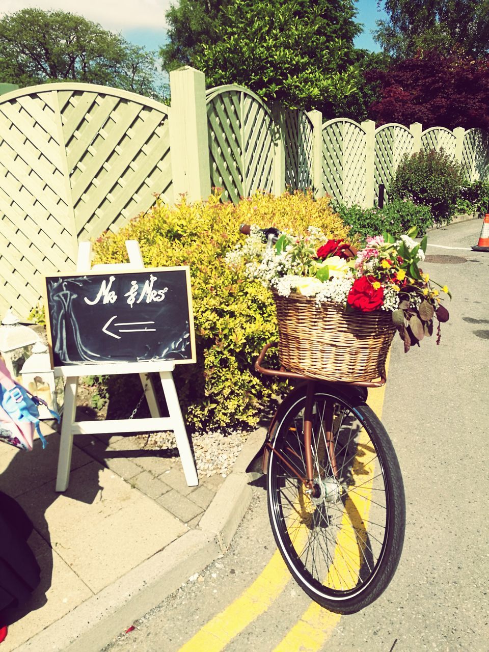 outdoors, day, bicycle, basket, sunlight, no people, flower