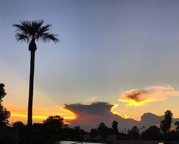 Low angle view of silhouette palm trees against sky