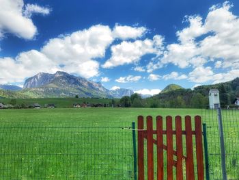 Scenic view of field against sky