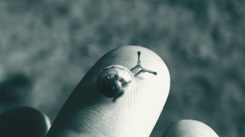 Close-up of hand holding ball