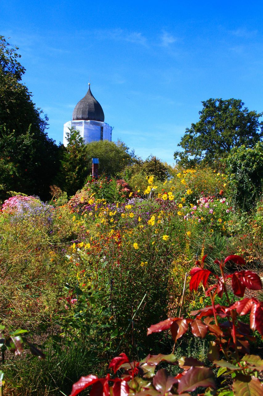 FLOWERING PLANTS AND TREES IN GARDEN AGAINST BUILDING