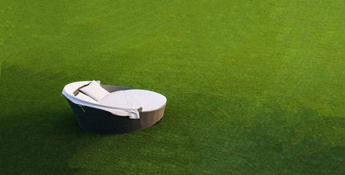 High angle view of bowl on green field