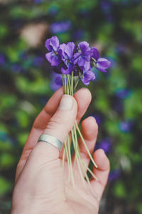 Close up tiny purple flowers concept photo