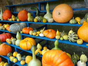 Pumpkins on shelves at market stall