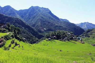 Scenic view of field and mountains against sky