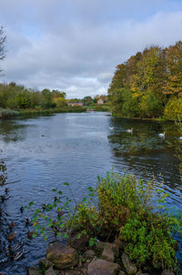 Scenic view of lake in forest against sky