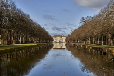 Reflection of trees in water