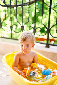 Portrait of cute boy sitting toy