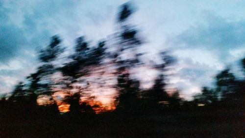 Defocused image of trees against sky in forest