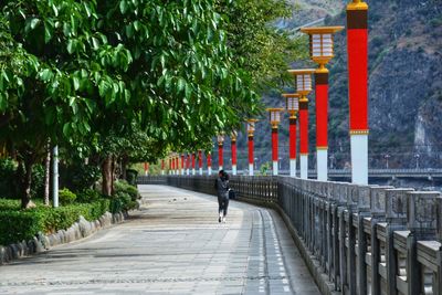 Rear view of man walking on footpath amidst trees