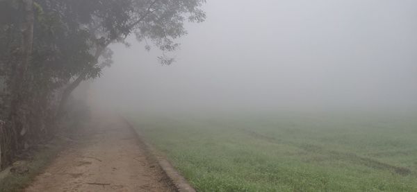 Road amidst trees against sky