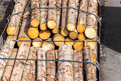 Close-up of food